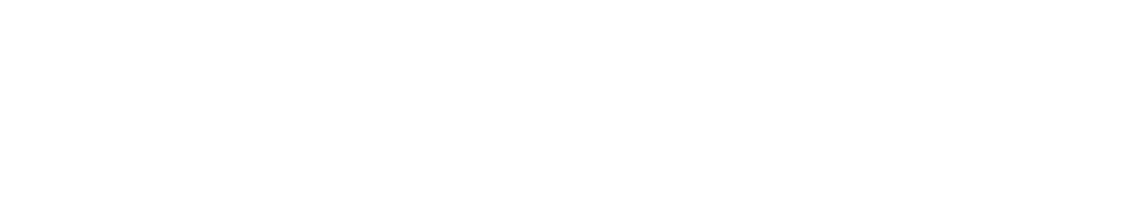 logo light